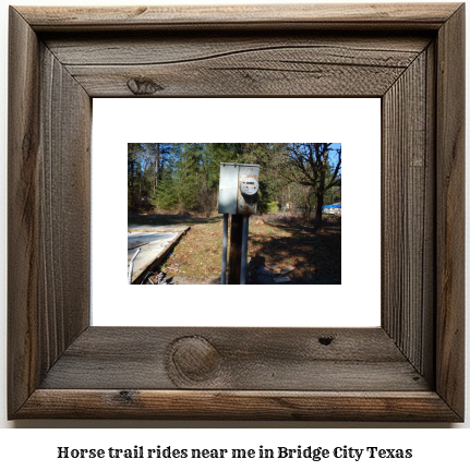 horse trail rides near me in Bridge City, Texas